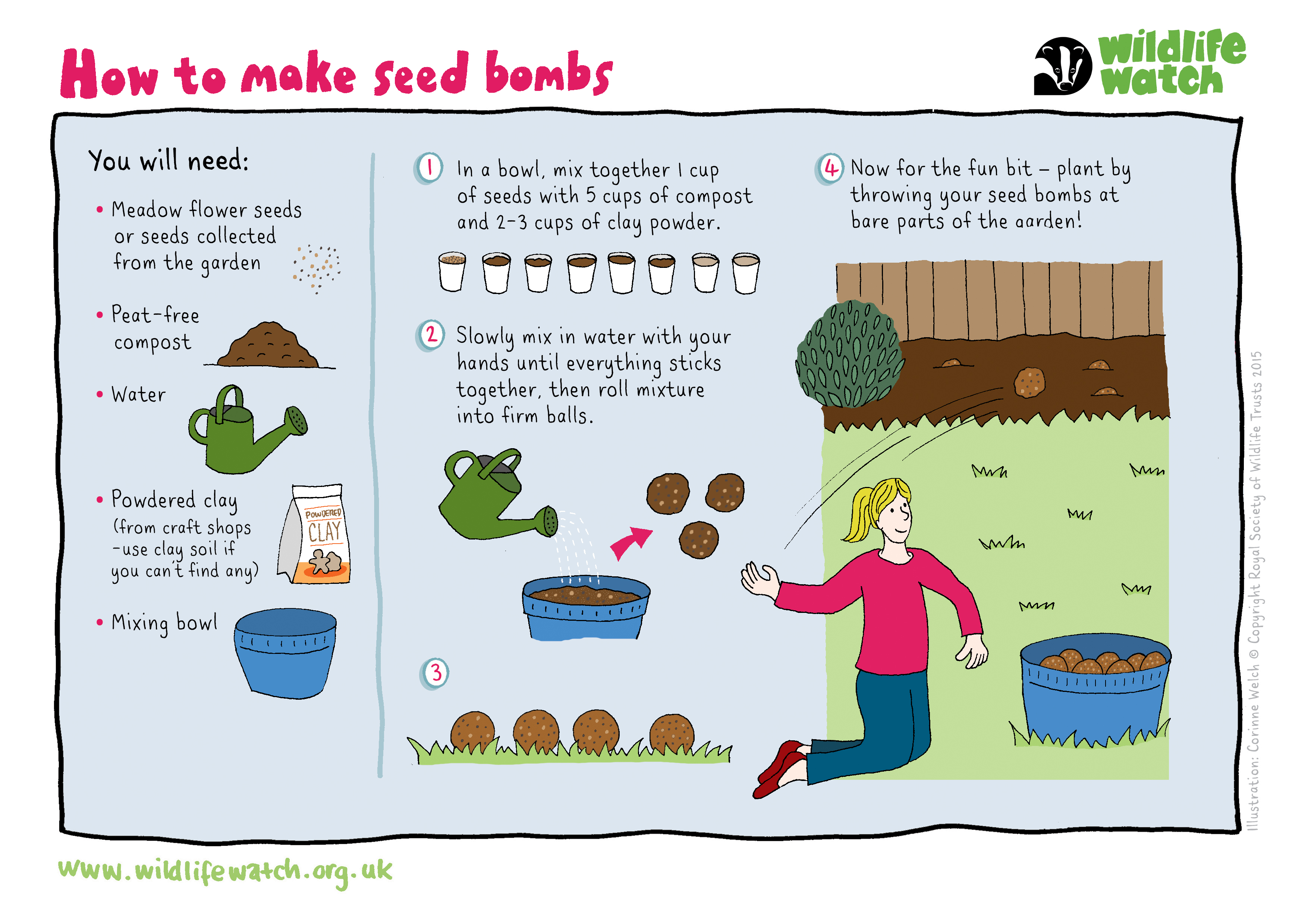 SeedBombs Activity New Logo