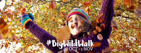 Big Wild Walk