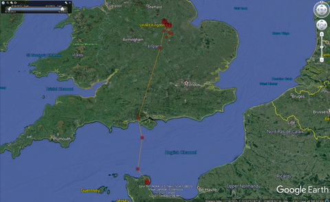Satellite tracked Osprey migration route