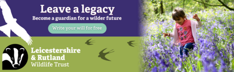 Write your will for free