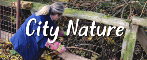 City Nature