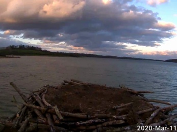 Osprey nest before Maya and 33 arrive