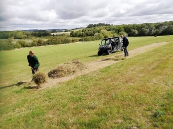 Hay Strewing