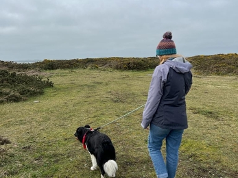 Katy from Ulster Wildlife walks her rescue collie Vinnie. Vinnie is on a lead.