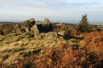 Charnwood Forest Living Landscape Project