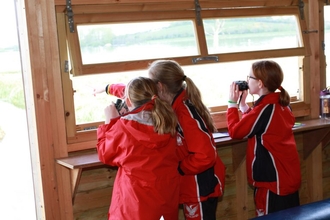 Stamford Juniors Osprey Project