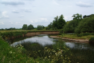 Loughborough Big Meadow (C) LRWT