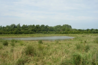 Mountsorrel Meadows (C) LRWT