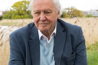 David Attenborough