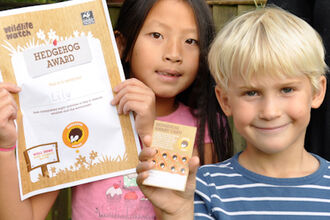 WW Hedgehog Award children