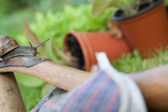 Gardening with wildlife, snail on gardening gloves with pot plants behind
