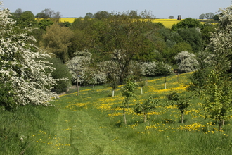 Holwell reserve | Peter Dawson