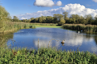 Kelham Bridge Nature Reserve