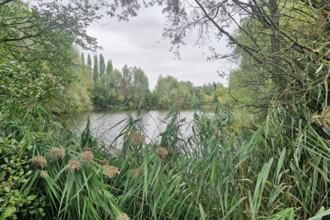 A picture of Syston Lakes Nature Reserve