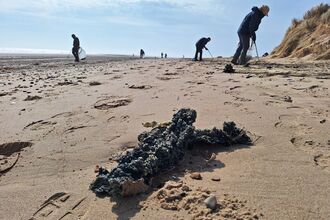 A group of people picking up nurdles on a beach. In the foreground is a clump of burnt nurdles - plastic resin pellets