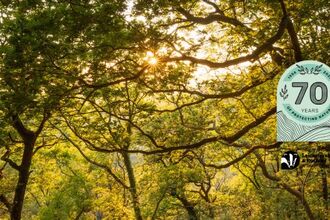 Ulverscroft event - Coed Crafnant sunset landscape - Ben Porter