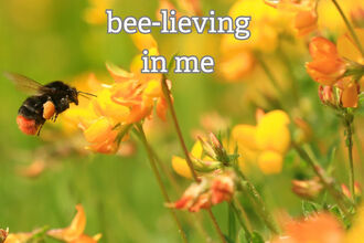 Bumble bee - Jon Hawkins