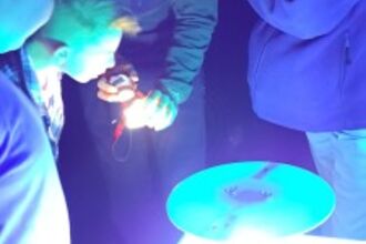 Moth Night - Jo Taylor