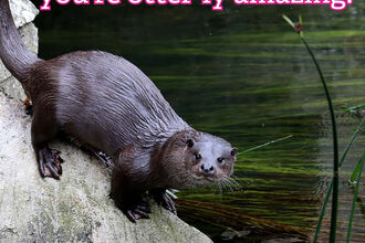 Otter - Margaret Holland