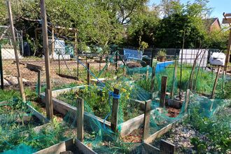 Allotment site