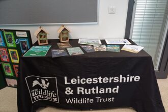 Leicester College butterfly workshop