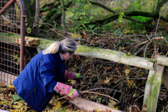 Image of a woman clearning branches and hedging