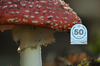 Caption: Fly Agaric RW  Credit: Neil Alridge 