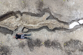 Caption: Sea Dragon Credit: Anglian Water