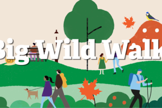 Big Wild Walk credit LRWT
