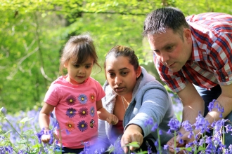 Bluebells family (c) Tom Marshall