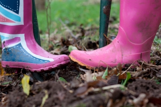 Wildlife gardening (c) Tom Marshall