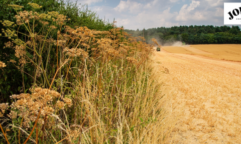 Jordan's Farm (c) Mathew Roberts