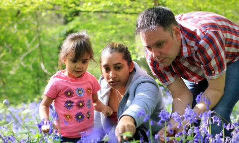 Bluebells family (c) Tom Marshall