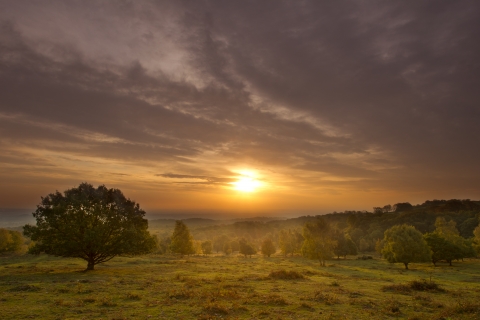 Beacon Hill, Leicestershire - British Geological Survey