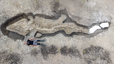 Britain’s largest ‘Sea Dragon’ discovered in UK’s smallest county | Leicestershire and Rutland Wildlife Trust