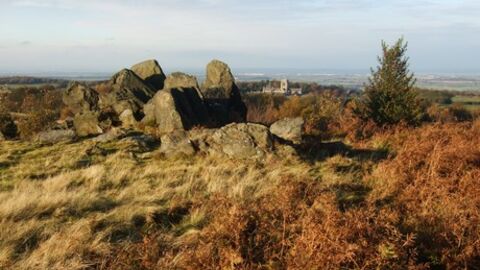 Charnwood Forest Living Landscape Project