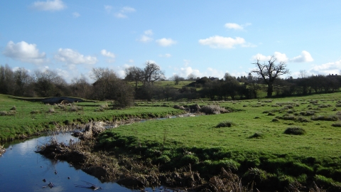 Croft Pasture (c) LRWT