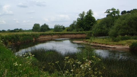 Loughborough Big Meadow (C) LRWT