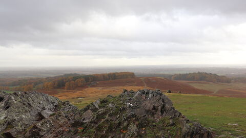 Bradgate Park