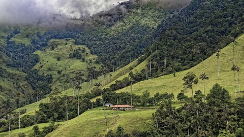 Colombia