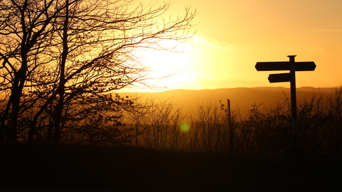 A landscape with a signpost, with a sunset in the background