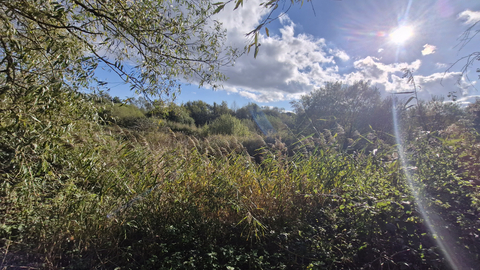 Kelham Bridge Nature Reserve
