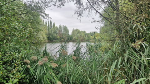 A picture of Syston Lakes Nature Reserve