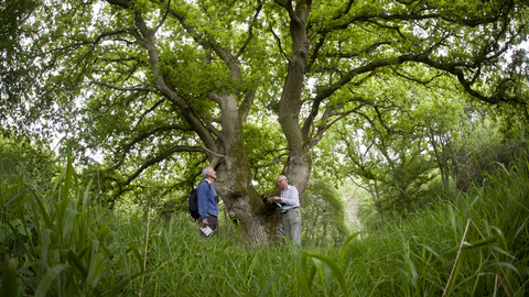 Wildlife walks - credit Matthew Roberts