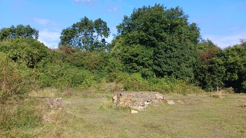 Stonesby Quarry Jenny Close