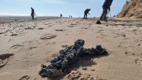 A group of people picking up nurdles on a beach. In the foreground is a clump of burnt nurdles - plastic resin pellets