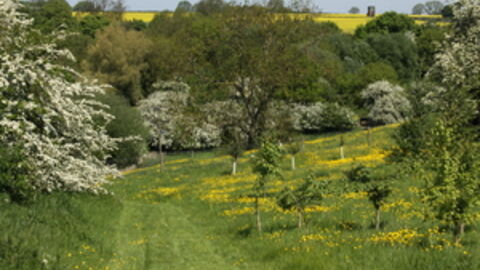 Holwell Reserves Peter Dawson