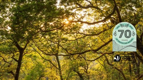 Ulverscroft event - Coed Crafnant sunset landscape - Ben Porter