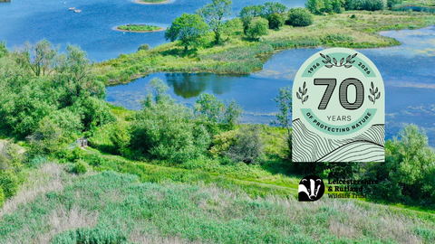 Tern Pool 6 Dave Cundy