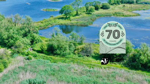 Tern Pool 6 - Dave Cundy 